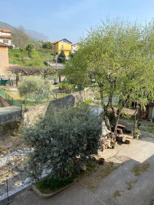 Casa Mirta Appartement Mandello del Lario Buitenkant foto